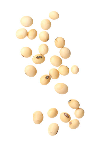 istock Many raw soy beans isolated on white 2208440472