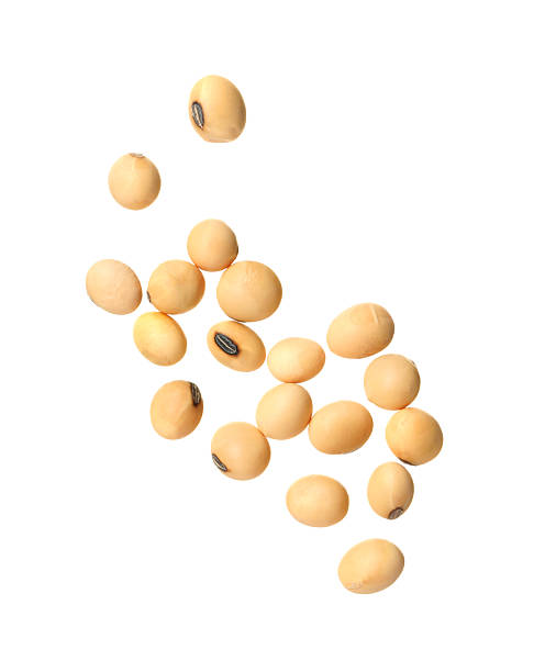 istock Many raw soy beans isolated on white 2208440485