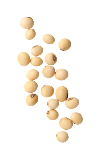 istock Many raw soy beans isolated on white 2208440491