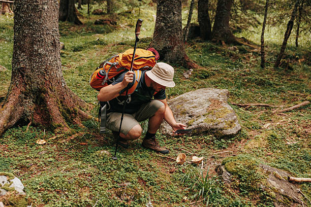 istock Exploring nature and technology as a hiker captures the wilderness 2208446675
