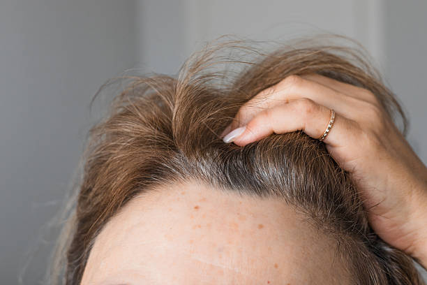 istock Hair care routine for healthy looking roots in a cozy indoor setting 2208447220