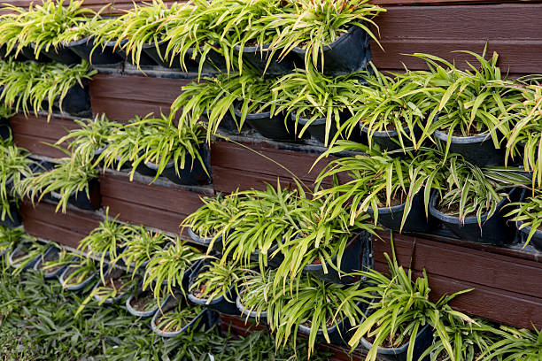 A vertical garden displays various pots filled with thriving green plants neatly arranged on a wooden wall. The setup creates an inviting and natural atmosphere in the outdoor space.