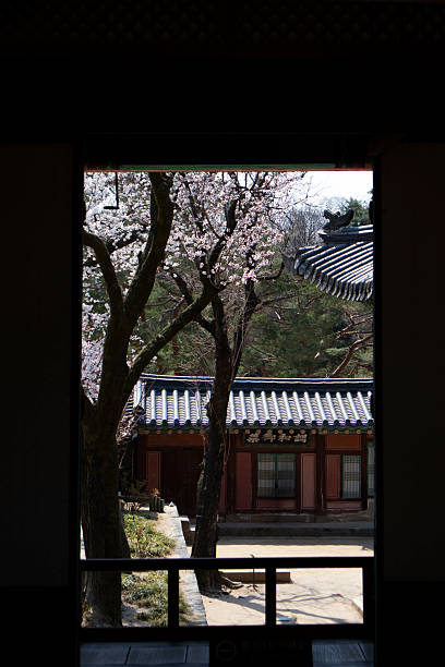 istock Beautiful Hanok and cherry blossoms.  . 2208460653