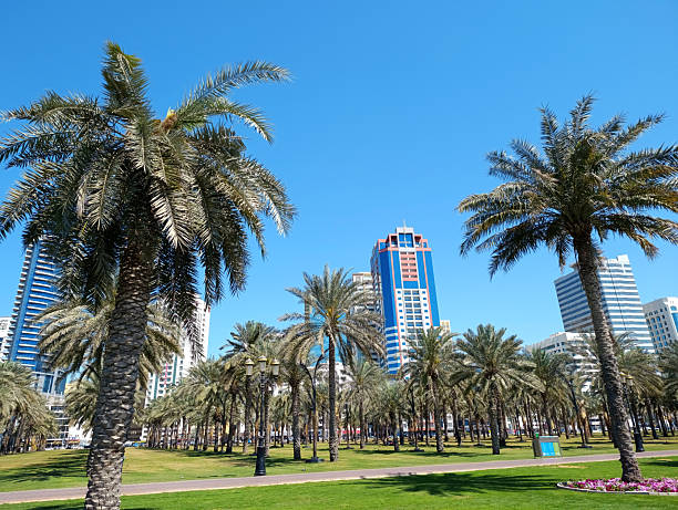 A wide daytime view of a landscaped urban lake surrounded by palm trees modern office buildings and green park areas in Dubai United Arab Emirates showing a calm tropical city oasis within a business district under clear blue sky ideal for travel tourism business lifestyle and modern urban environment concepts with copy space