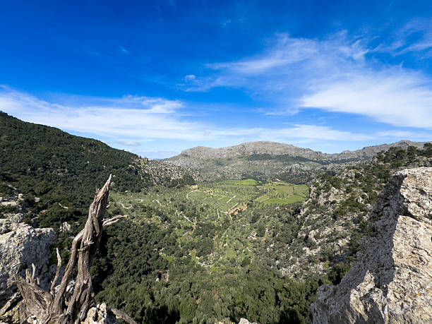 Panoramic view of Mallorca countryard
