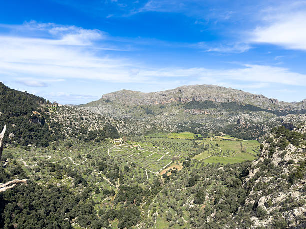 Panoramic view of Mallorca countryard