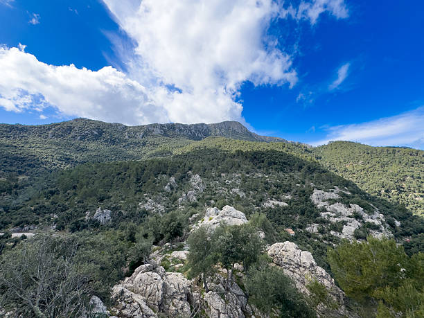 istock Panoramic view of Mallorca countryard 2208465189