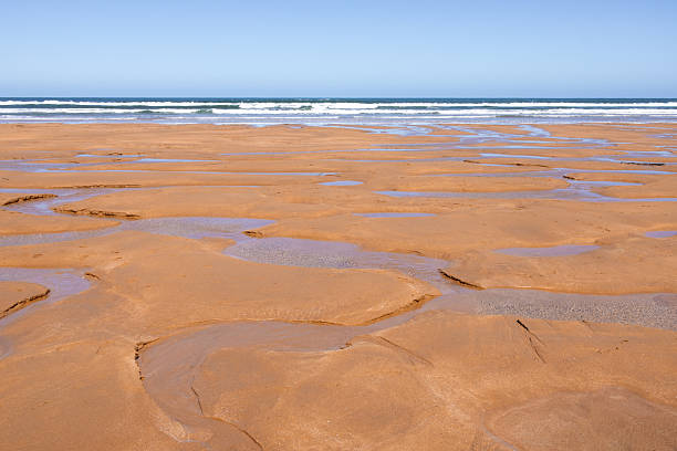 istock Vast sandy beach with puddles and ocean waves under clear blue sky 2208465815