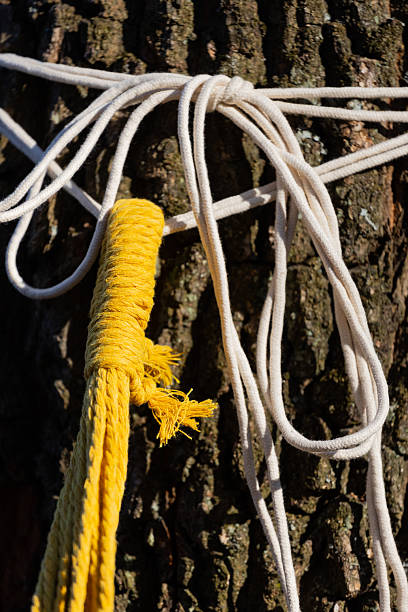 A close-up shot showcasing yellow and white ropes intertwined around the textured bark of a tree, emphasizing the harmony of nature and craftsmanship in this vivid image.