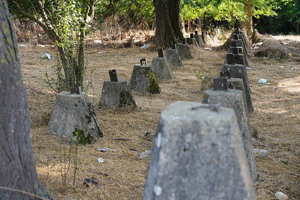 istock Dragons teeth in Istanbul, Turkiye 2208466575