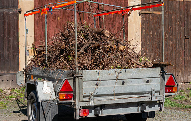 istock Trailer full of garden waste 2208467617