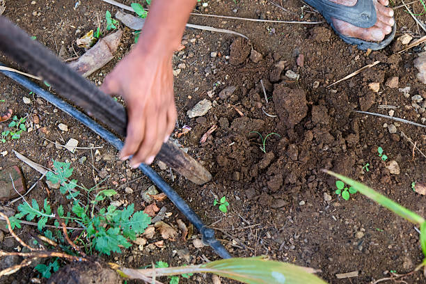 istock Gardening preparation and soil cultivation in rural area 2208468557