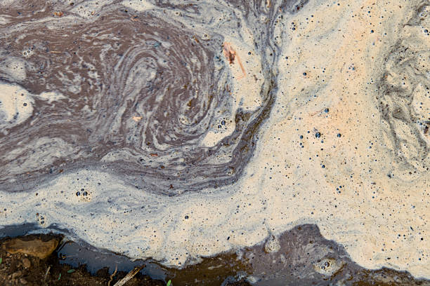 Foam and bubbles swirl in a murky waterway under a cloudy sky, revealing environmental concerns and water pollution.