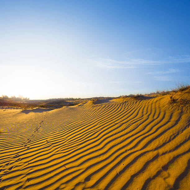 wide hot sandy desert at the sunset
