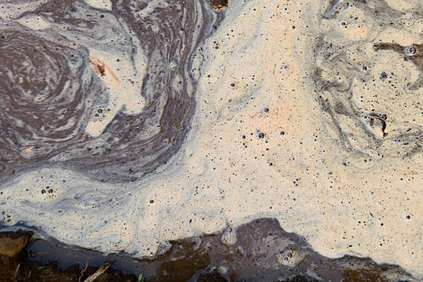 Thick, creamy foam swirls above dark water, creating an abstract pattern during a tranquil afternoon.