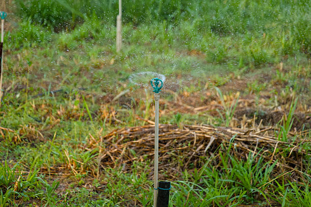 A sprinkler system efficiently watering a green field at midday, promoting crop growth and sustainability.