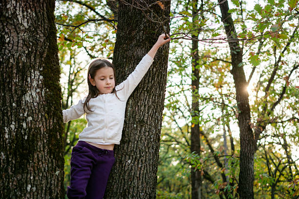Cute little girl climbs a tree in the park