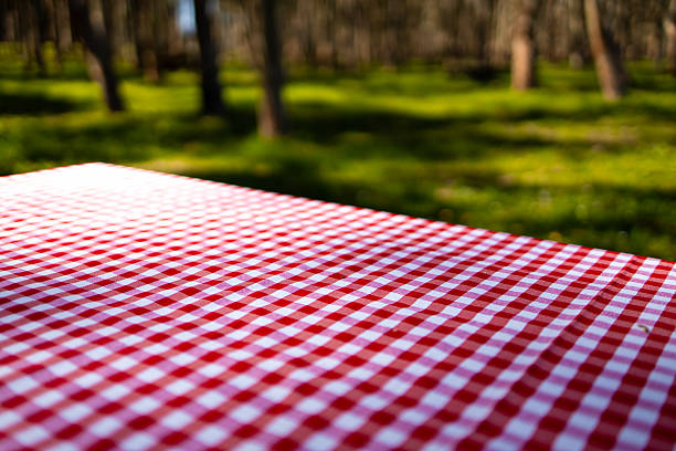 istock Red checkered picnic tablecloth on table in sunlit forest 2208472746