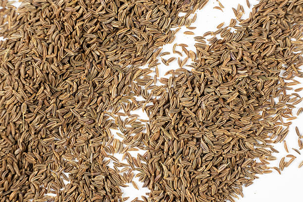 Dried Cumin Seeds Close-Up Culinary Ingredient on White Top View.