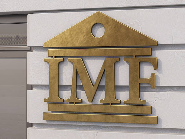 International Monetary Fund Gold Sign on White Wall. 3D Render