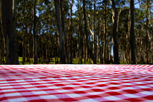 istock Red checkered picnic tablecloth in sunny forest clearing 2208473409