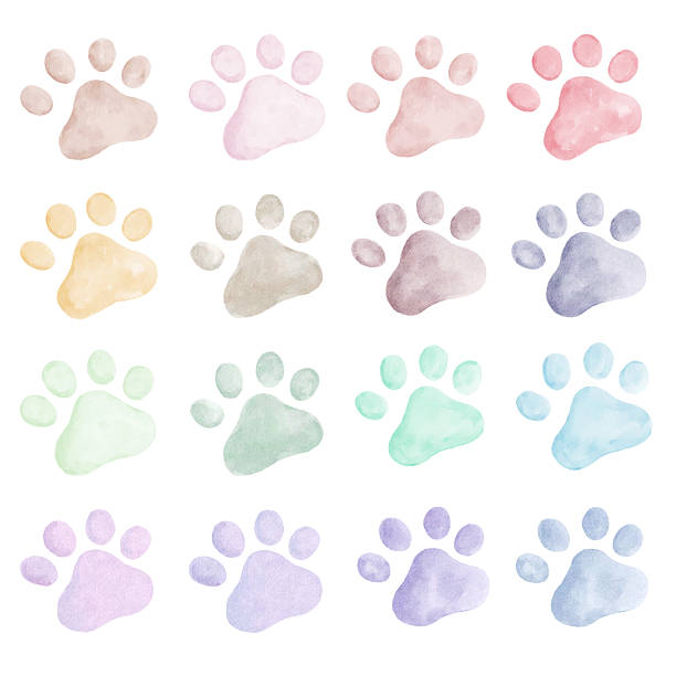 istock Watercolor Cat Paw Prints Collection Set Clip Art 2208475270