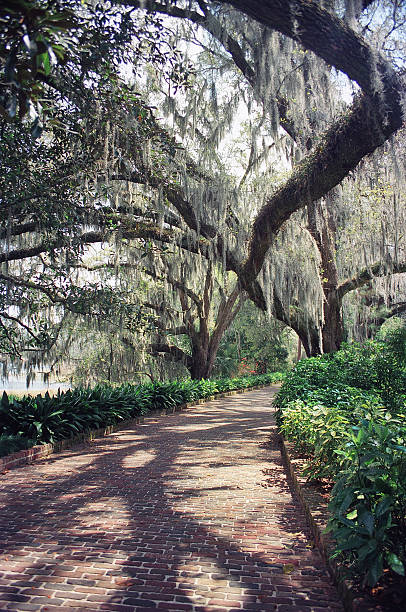 istock ALFRED B. MACLAY GARDEN STATE PARK 2208475454