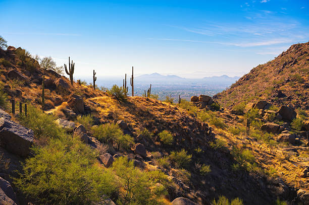 Desert landscape with cacti and rocky terrain along Pinnacle Peak Trail near Phoenix, Arizona, with city of Scottsdale in the background.