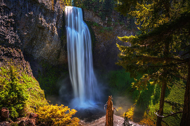 istock Salt Creek Falls in Oregon Cascade Range, USA 2208475611