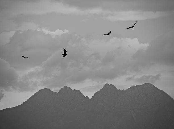 istock Grayscale of birds soaring above mountain peaks under a cloudy sky 2208479104