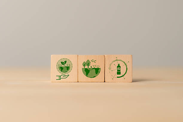 istock Sustainable environment concept. World Environment Day, climate action, the importance of addressing biodiversity loss and plastic pollution to mitigate the effects of climate change. 2208481092