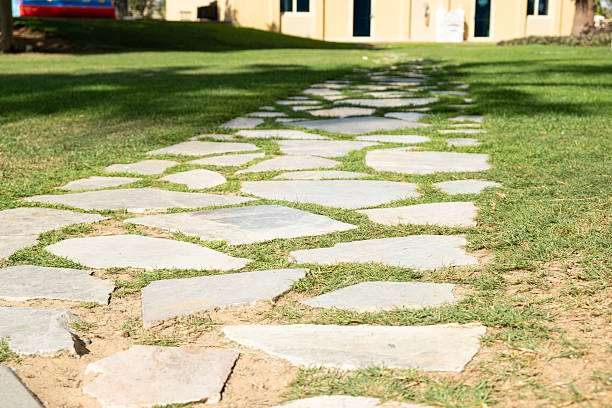 istock Stone Pathway in Green Lawn Leading to House 2208487768