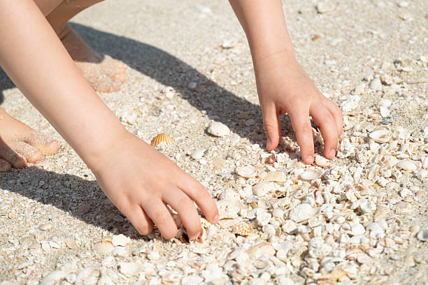 istock Child Collecting Seashells on Sandy Beach Shore 2208487776