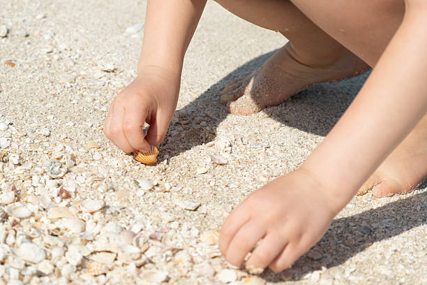 istock Child Collecting Seashells on a Sandy Beach 2208487777