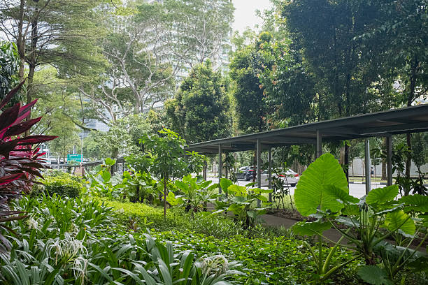 istock Green urban space in Singapore 2208490153