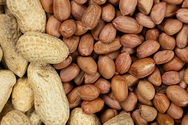 istock Shelled and Unshelled Peanuts Close-Up 2208490225