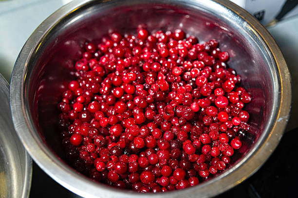 istock Fresh Red Lingonberries in Metal Bowl. 2208491113