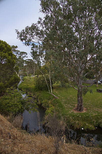 istock Dawson Creek in Strathalbyn, South Australia, Australia 2208492083