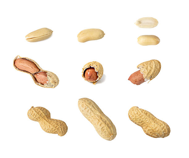 istock Peanuts Isolated, Roasted Arachis Nuts, Open Pea Nut, Whole Groundnut with Shell, Peanut on White 2208497168