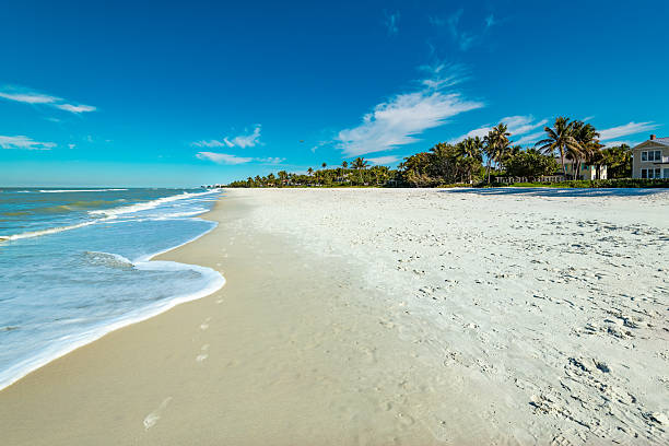 istock A serene beach in Naples, Florida features soft white sand, gentle waves lapping at the shore, and palm trees swaying in the warm sunlight, with beachfront homes offering direct access to the shore. 2208511449