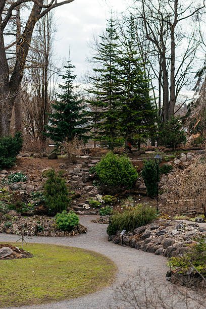 istock A tranquil botanical garden with winding pathways, lush greenery, and natural rock formations, creating a peaceful and scenic outdoor retreat. 2208514128
