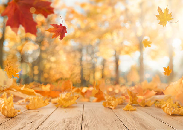 istock Autumn empty wooden table with falling yellow maple leaves on defocused autumn forest nature background at sunset. Thanksgiving, Halloween or autumn background with copy space. 2208518945