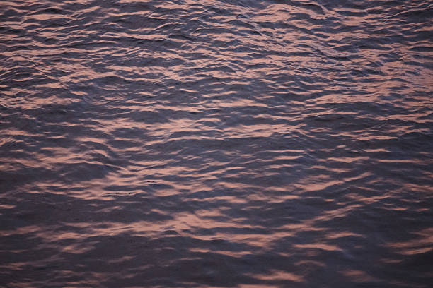 A peaceful water surface illuminated by the warm light of the sunset. Gentle waves create a calming and abstract texture, ideal for backgrounds, relaxation themes, nature-inspired designs, and minimalist concepts.