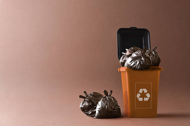 istock Brown organic garbage recycling container with bags isolated brown 2208528076