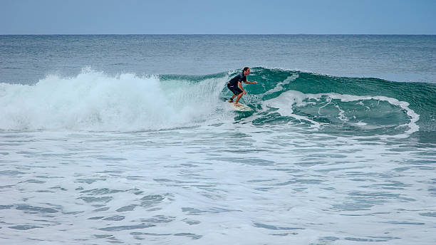 Free Stock Photo of A person surfing on a wave | Download Free Images ...