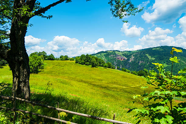 Green fields and rural Balkans. Bosnia and Herzegovina