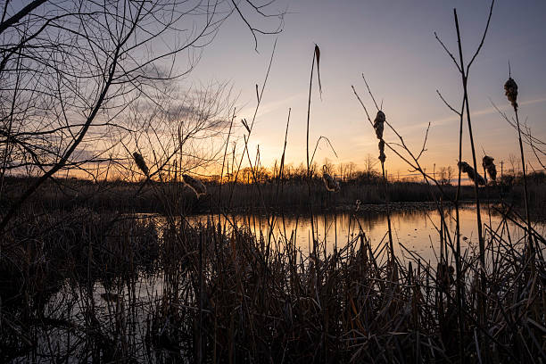 istock Sunrise at Lily Pond County Park #1 2208540905