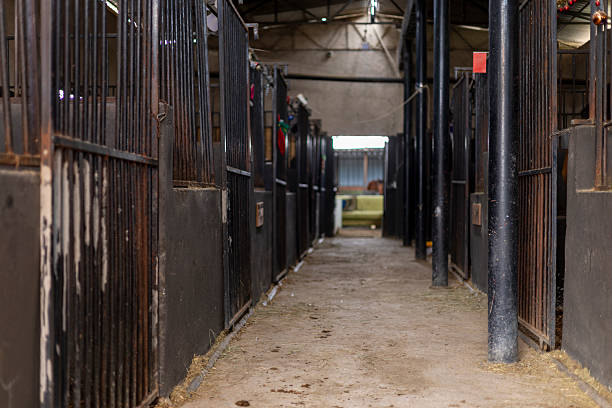Inside a horse stable with empty stalls, hay, and dirt aisle