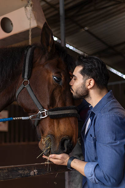 istock Veterinarian showing affection and feeding a horse in a stable, showcasing the bond between humans and animals 2208543218