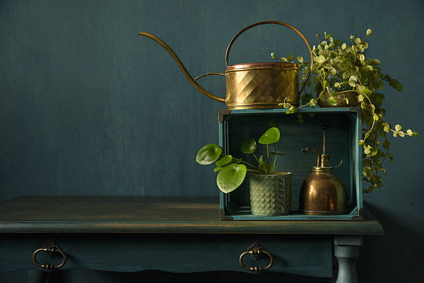 istock Vintage Brass Water can with home plants 2208545448